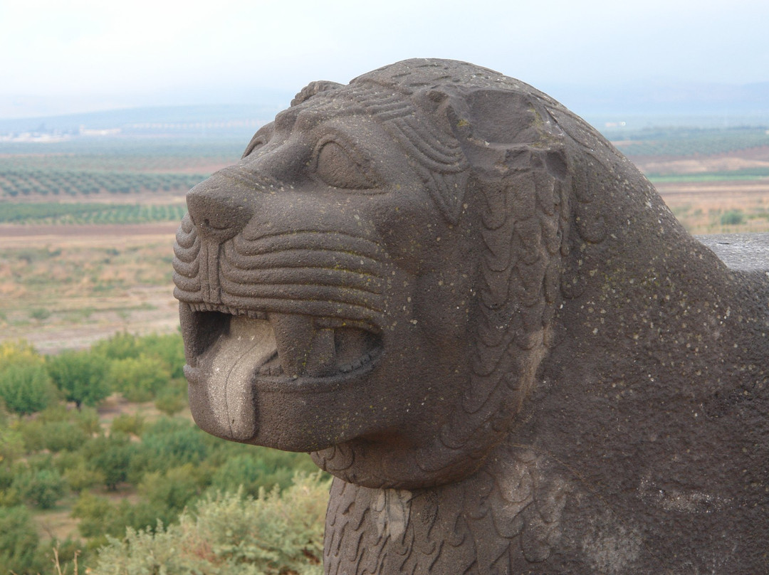 Saint Simon Citadel (Sam’an Citadel, Qalat Samaan)景点图片