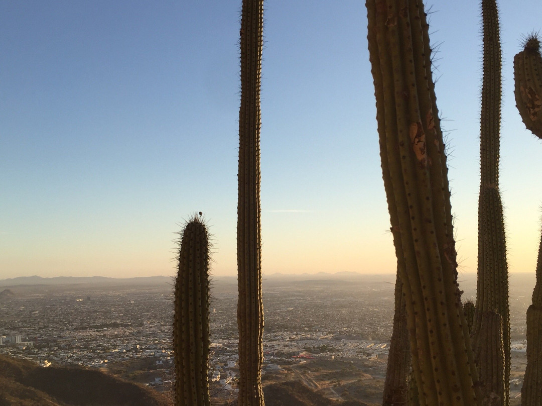 Cerro El Bachoco-埃莫西约必去景点