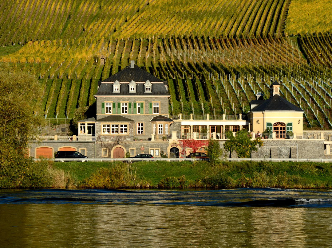 贝恩卡斯特尔-屈斯旅游景点-Weingut Dr. Loosen