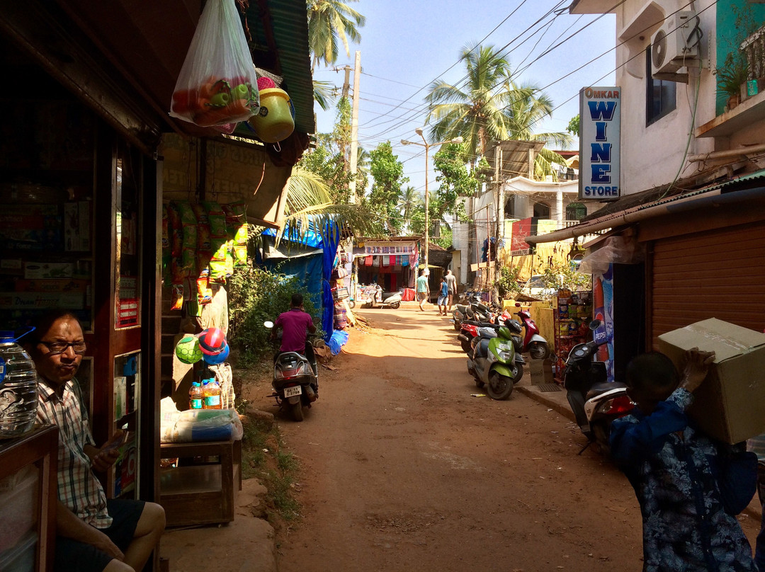 Cactus Guesthouse主图