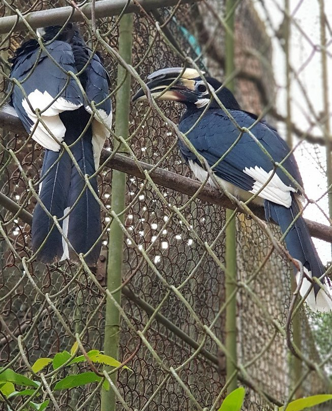 Nagaland Zoological Park-Dimapur必去景点
