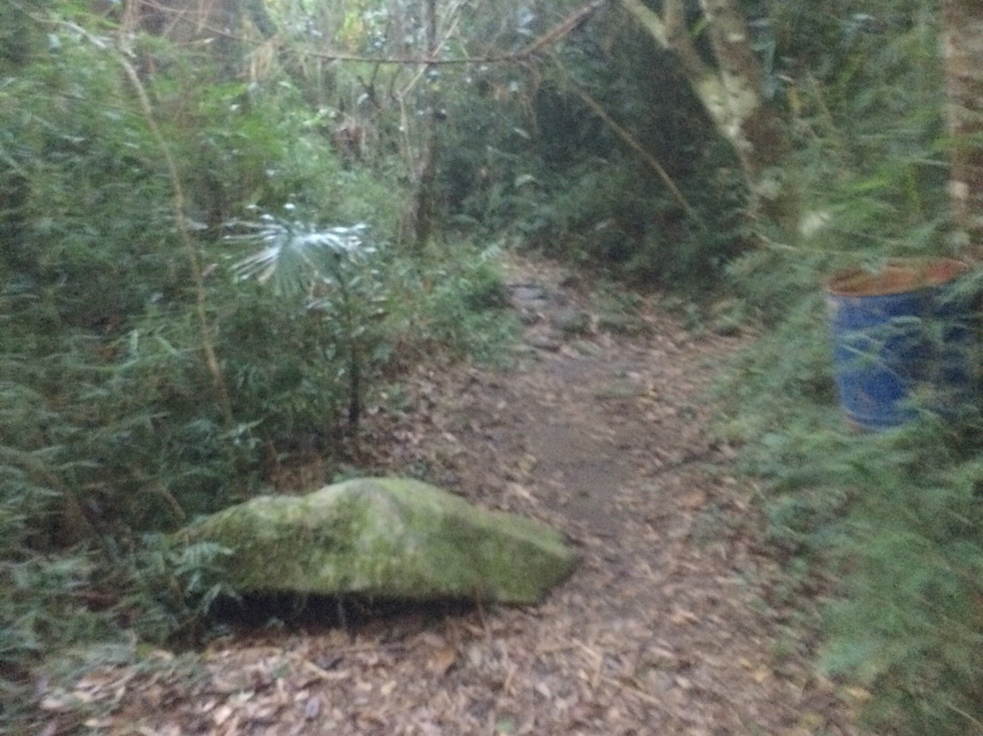 Cachoeira do Bernardo Alemão-Piedade必去景点