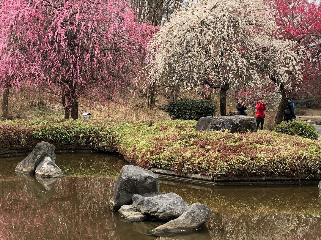 Bairin Park-佐野市必去景点