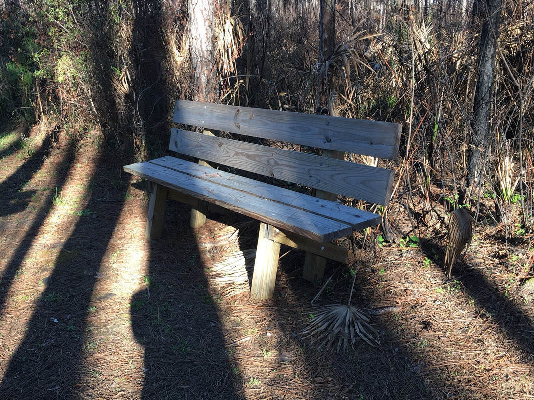 Cary State Forest-Bryceville必去景点