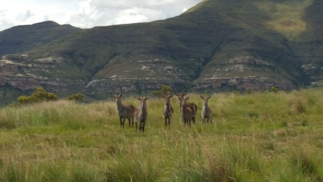 Andes Clarens Guest Farm & Wedding Venue-商务中心/多功能厅
