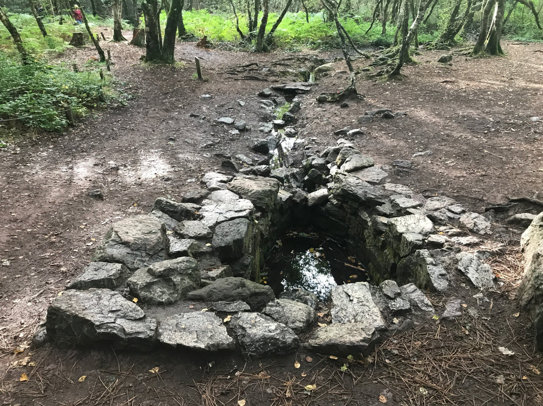 Fontaine de Barenton景点图片