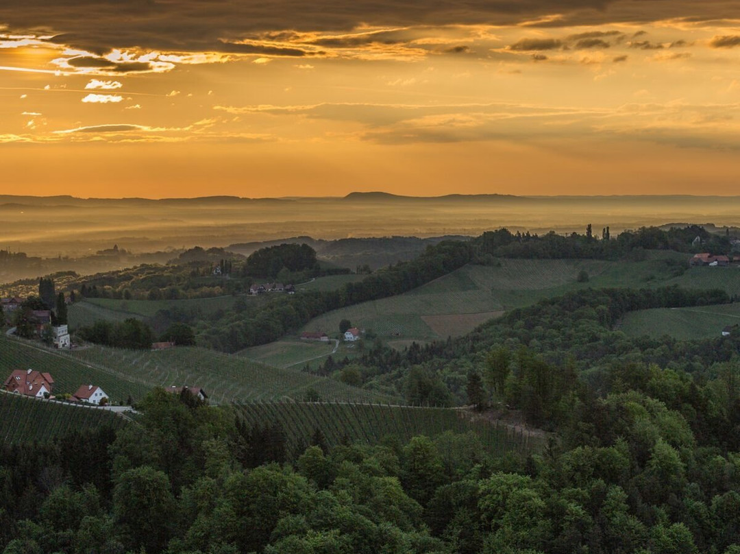 Weingut Adam Amandus Und Carmen