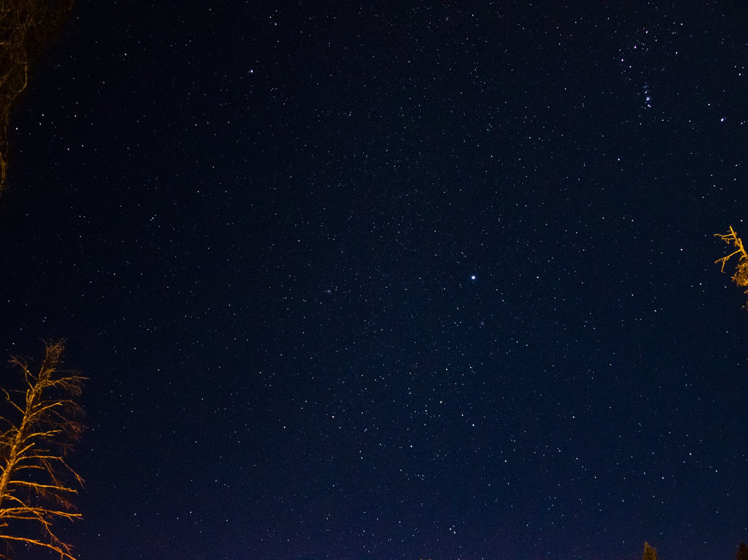 The Rosewood Hotel主图