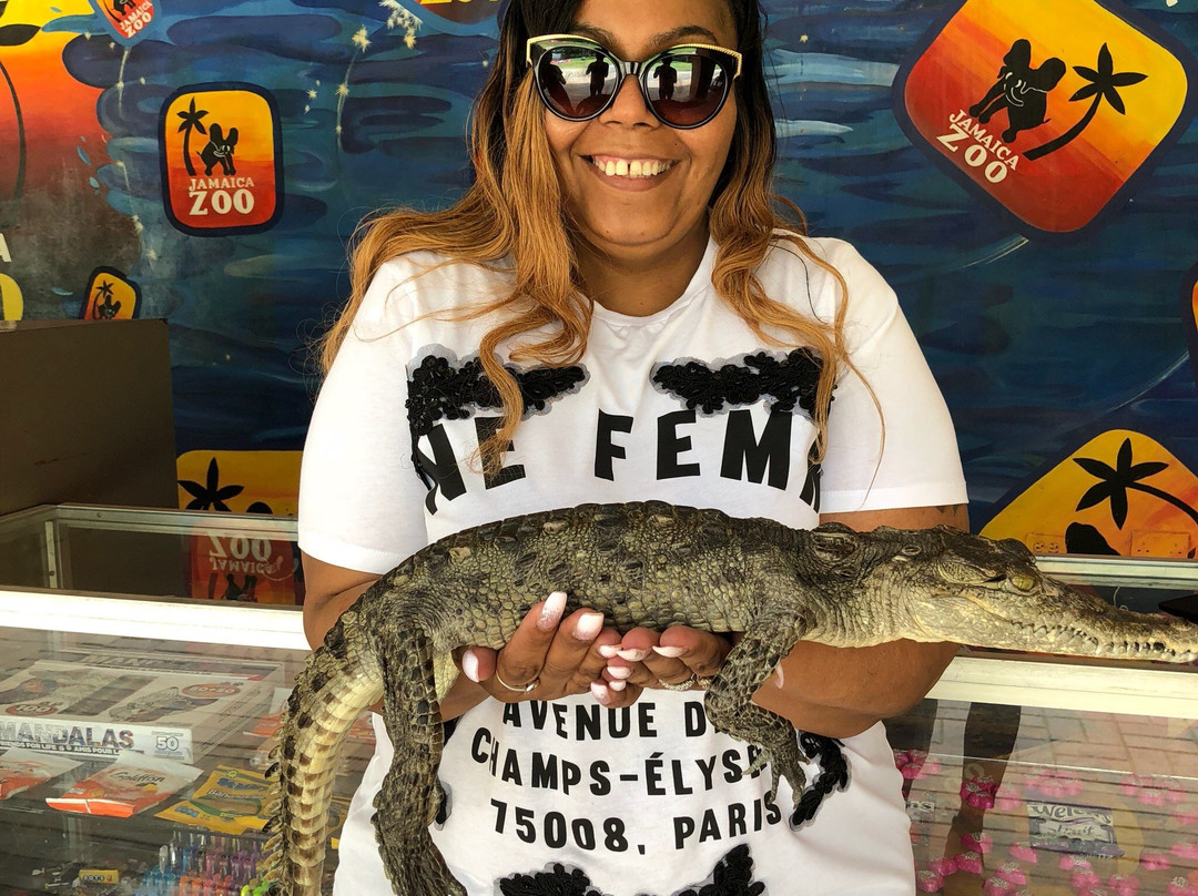 Jamaica Zoo-Lacovia必去景点