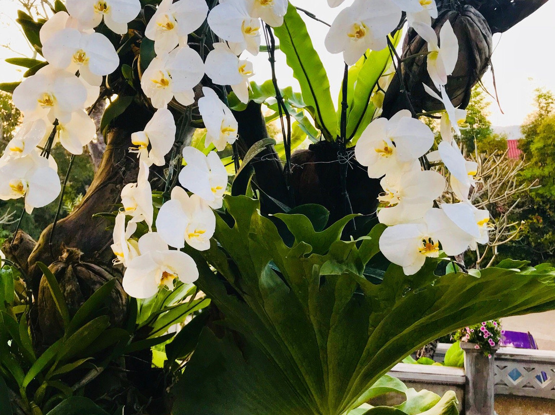 The Spa Kiridara-琅勃拉邦必去景点