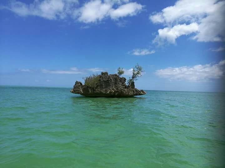 Sun Tropical Tours-格兰高伯必去景点