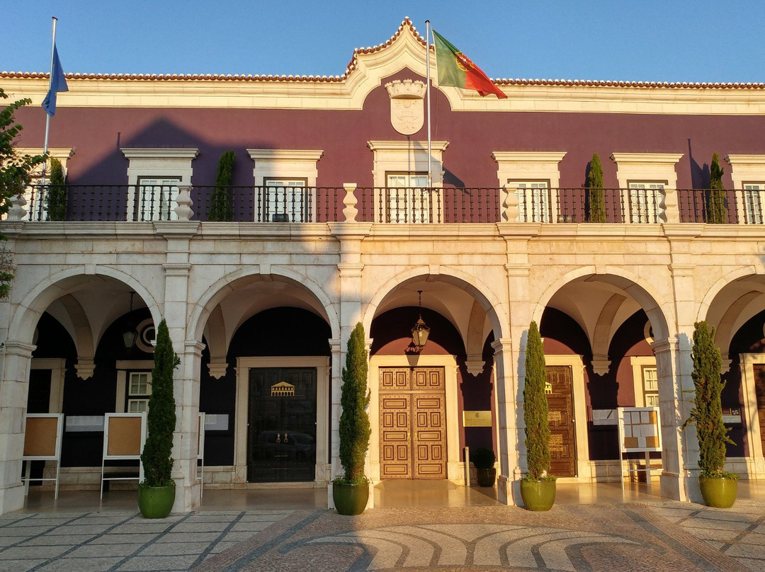 Camara Municipal De Setubal景点图片
