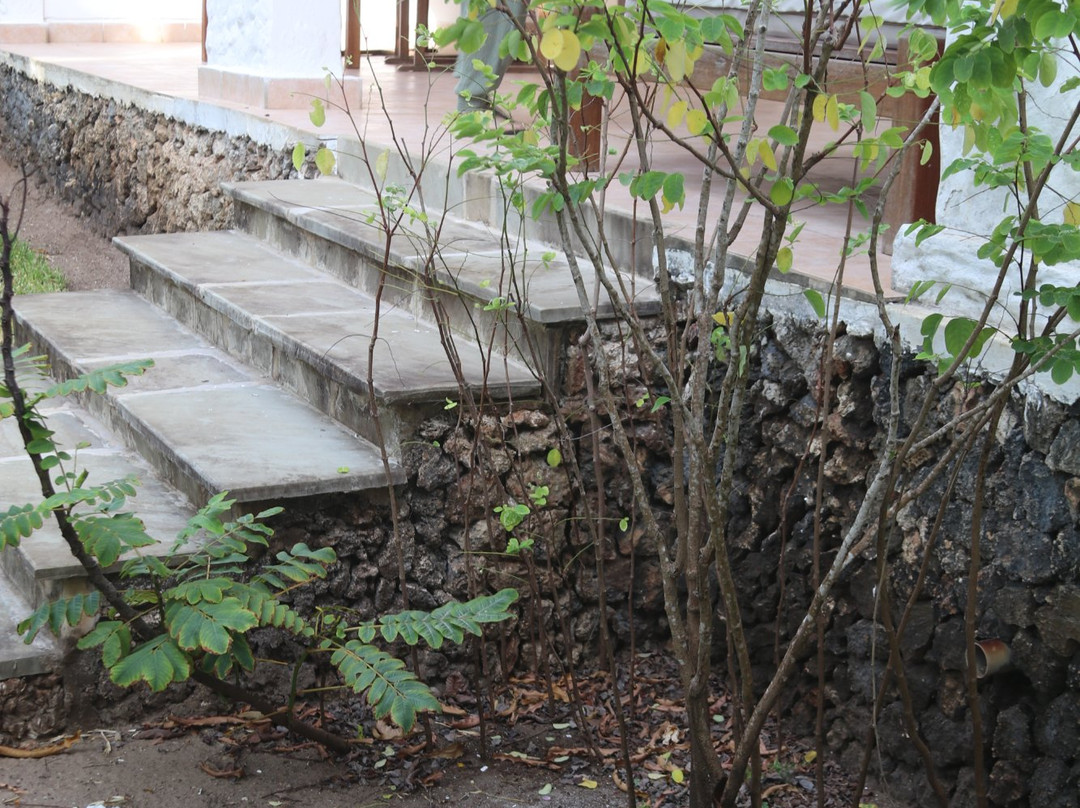 Pinewood Beach Resort and Spa主图