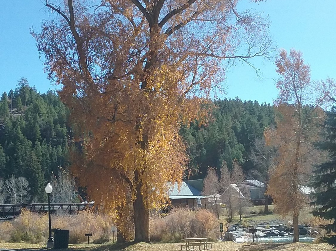 Town Park-帕戈萨斯普林斯必去景点