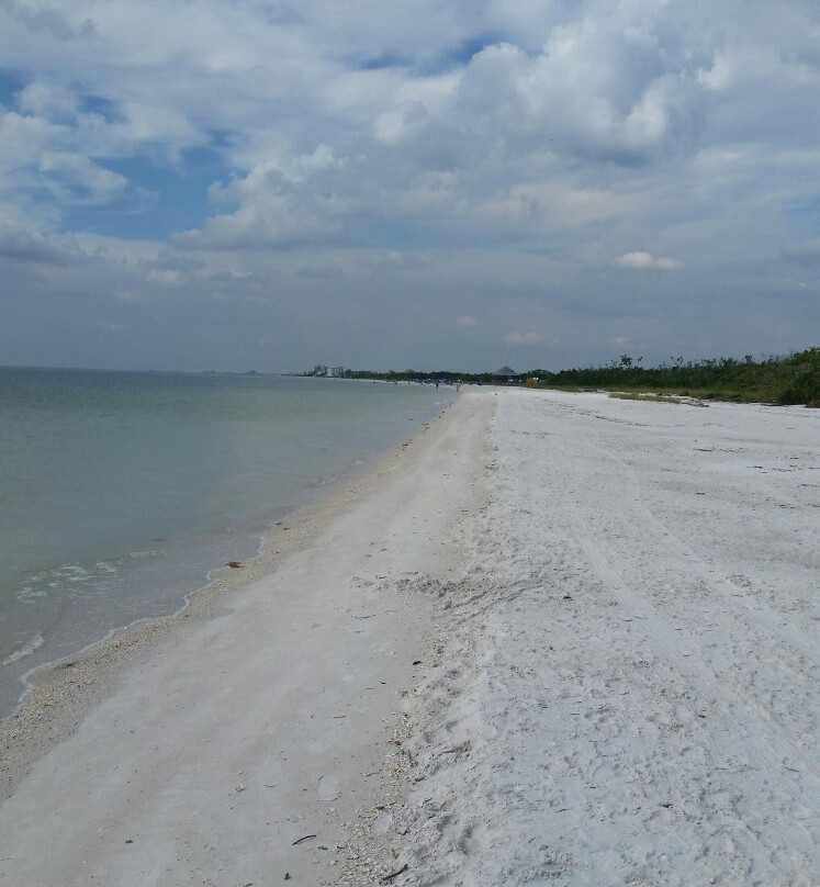 Backwater Adventure-迈尔斯堡海滩必去景点