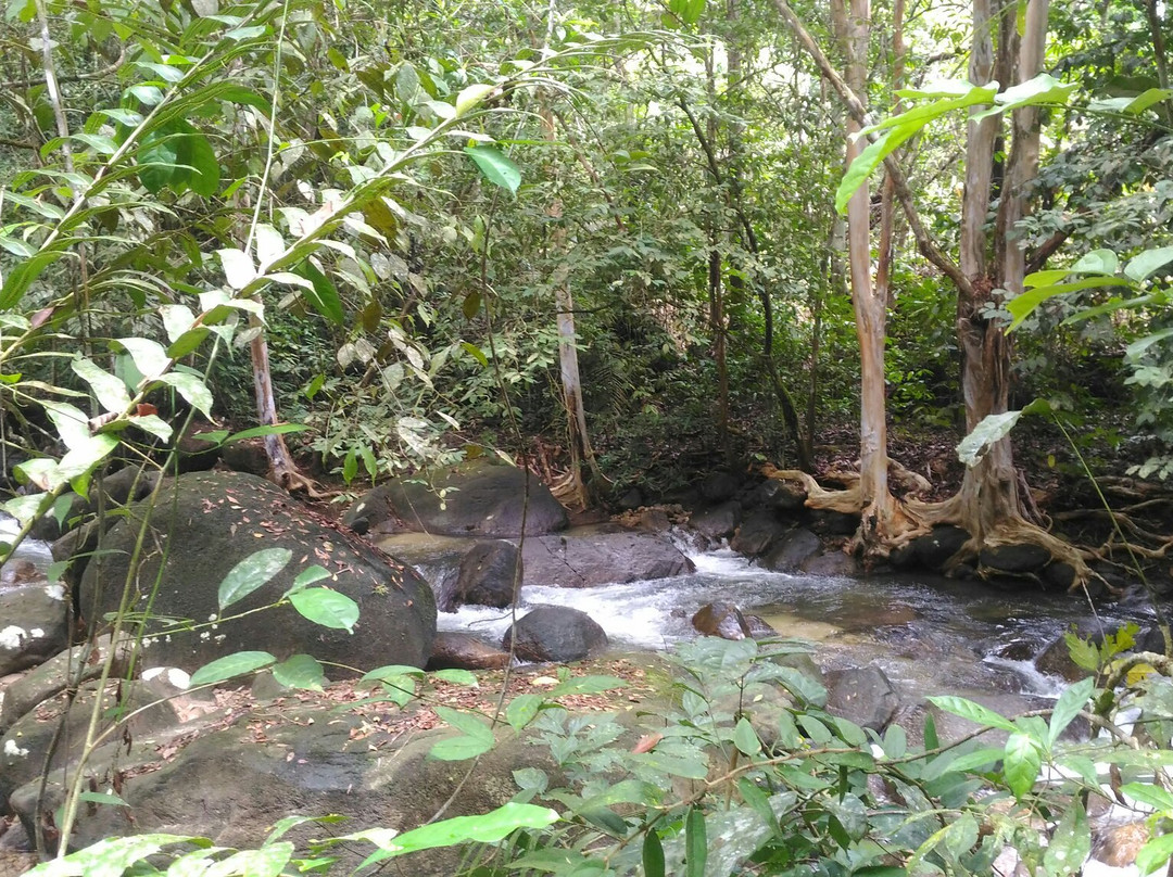 Lata Ulu Chepor-Chemor必去景点