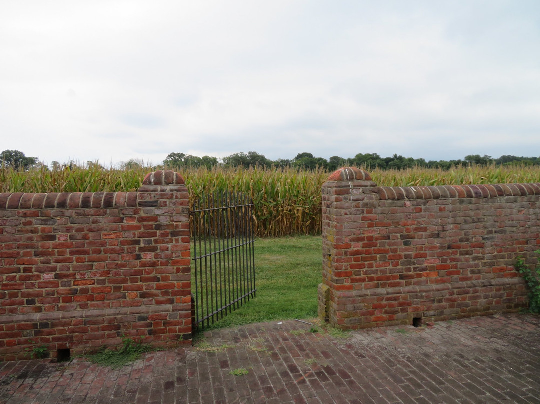 Burnt House Field-Hague必去景点
