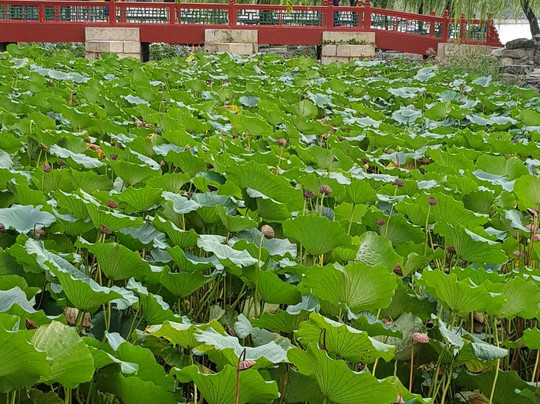 天地剧场-北京市必去景点