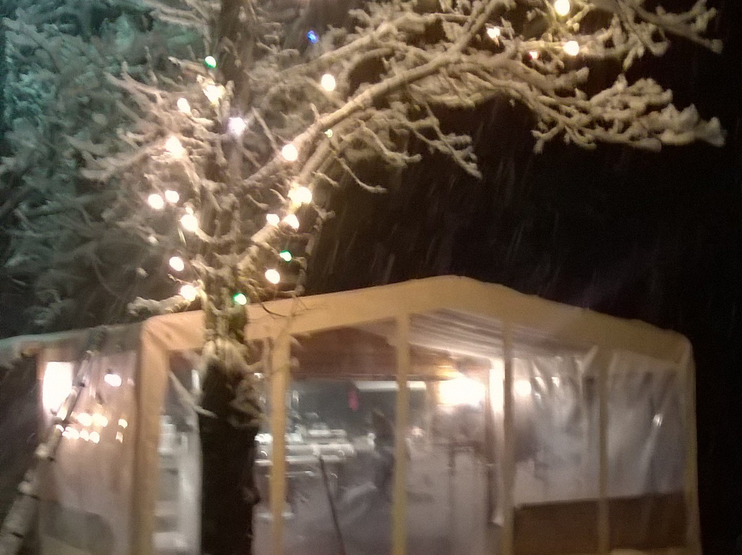 Saint-Theoffrey餐馆和美食-The Food du Lac