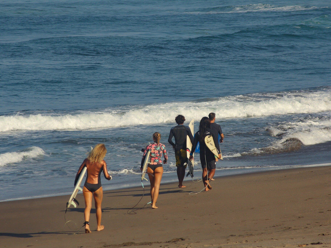 Surf Is Up Bali-Tibubeneng必去景点
