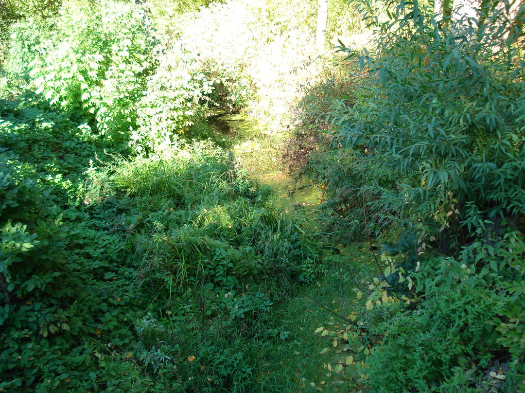 The Holy Spring of Tikhon Zadonskiy-Zadonsk必去景点