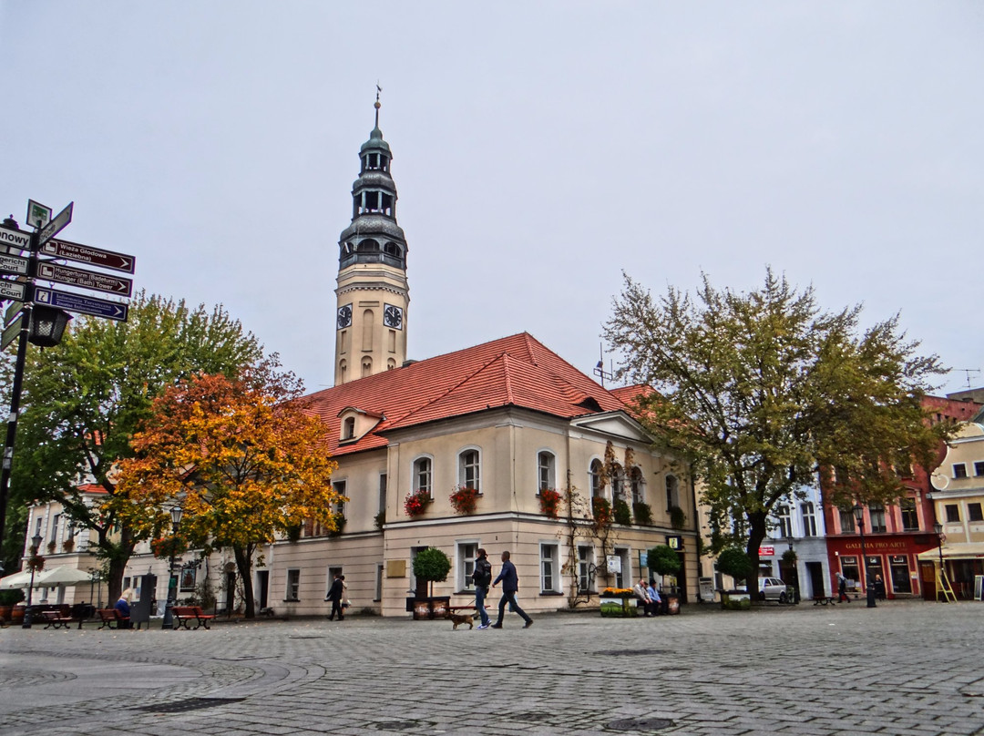 Town Hall (Ratusz)景点图片