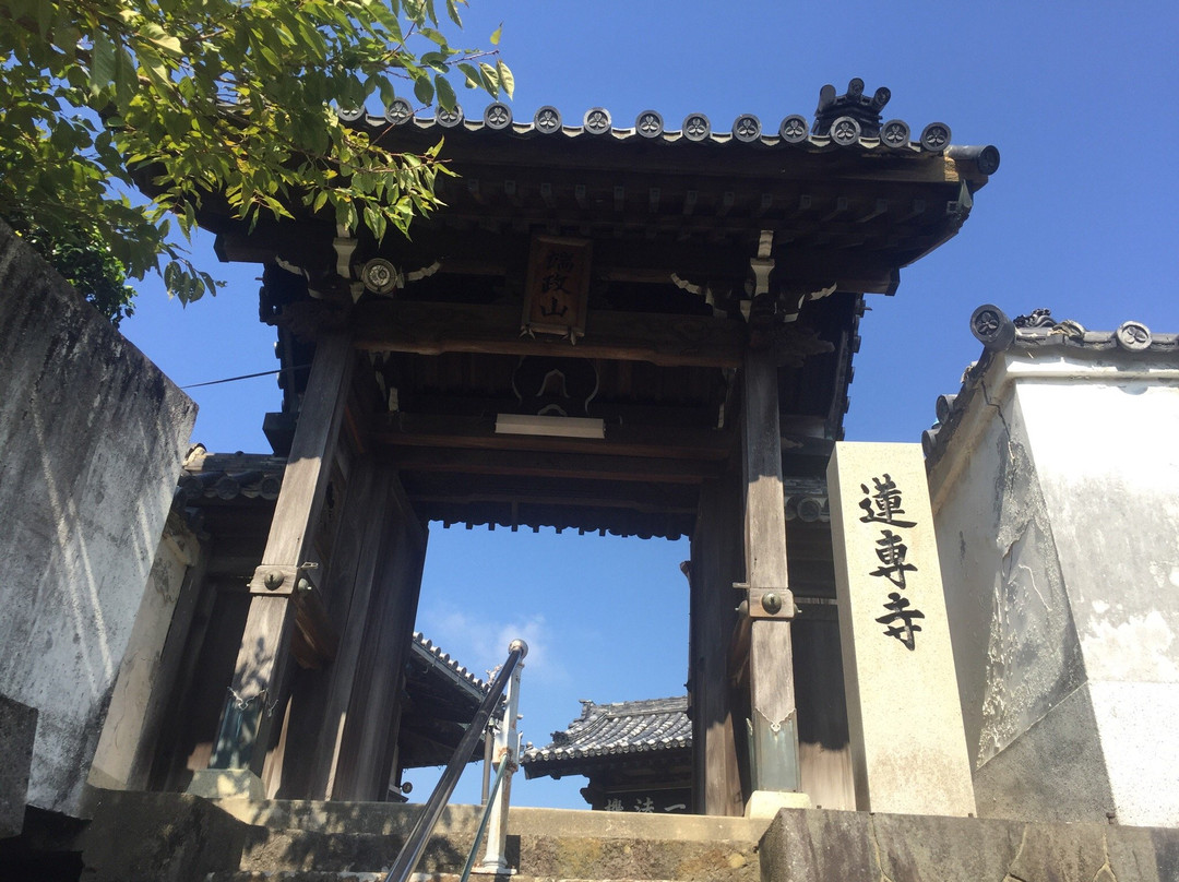 Rensen-ji Temple景点图片