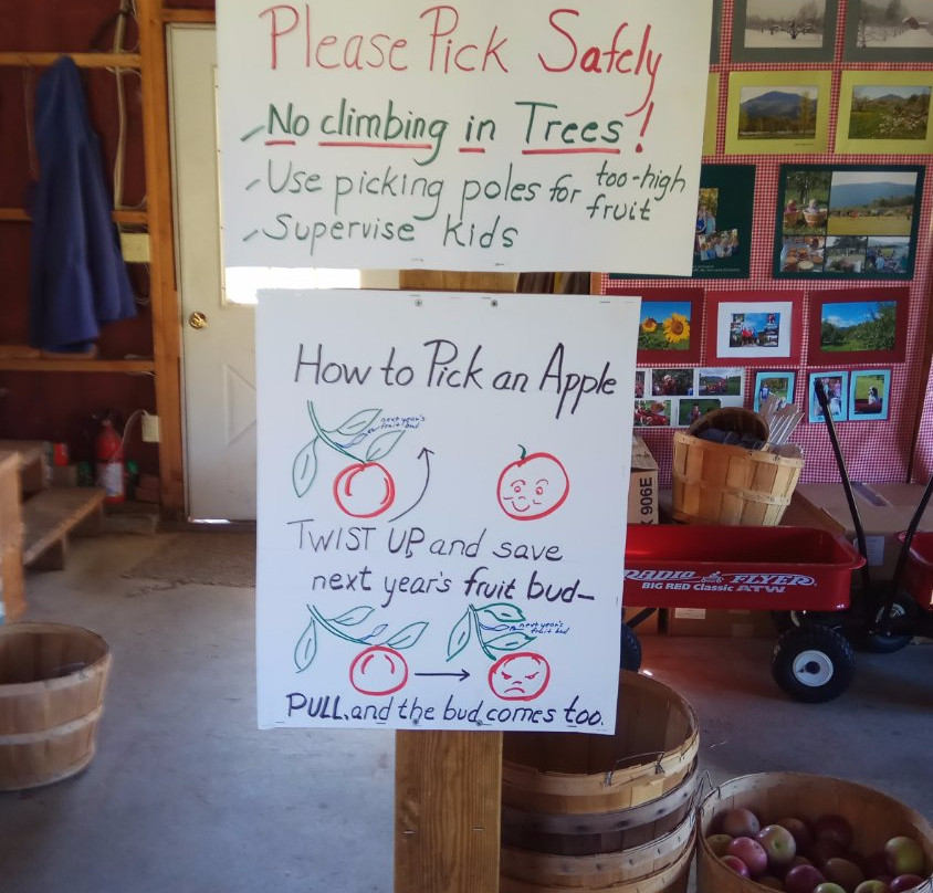 Mad Tom Orchard-East Dorset必去景点