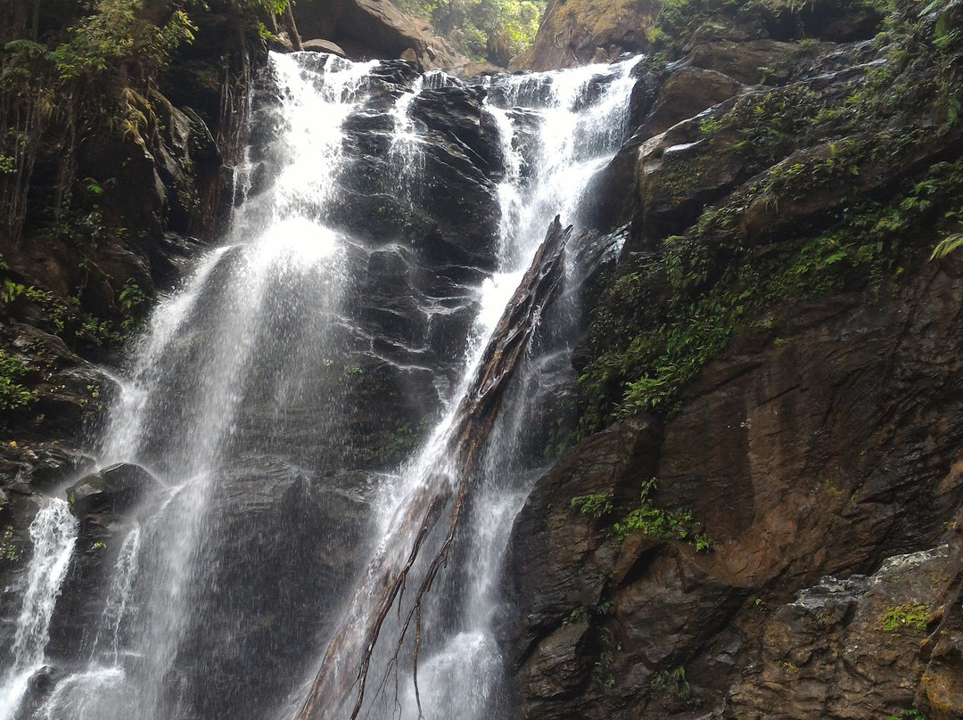 Hanuman Gundi Falls景点图片