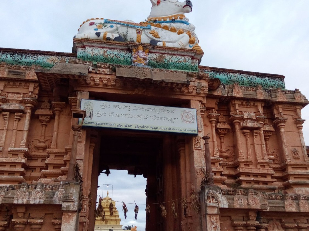 Ranganathaswamy Temple景点图片