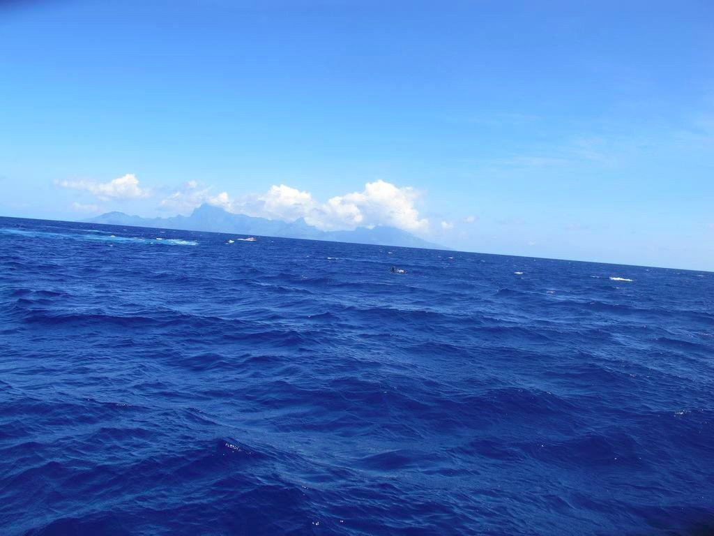 Tahiti Private Boat Tours - CRUZING景点图片