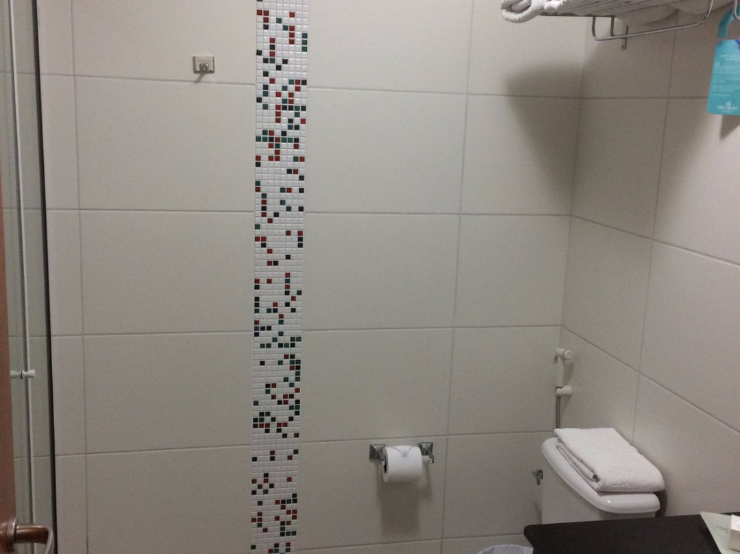 Hotel Premium Pirassununga主图