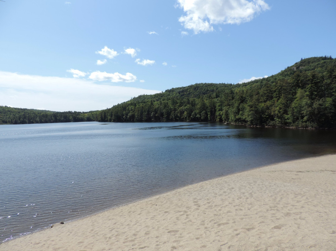 Lincoln Pond Campground