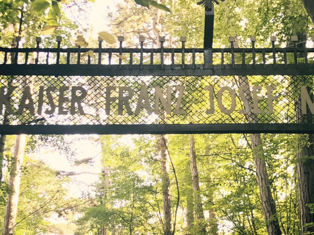 Kaiser Franz Josef Museum
