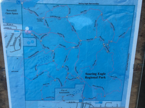 Soaring Eagle Park-Sammamish必去景点