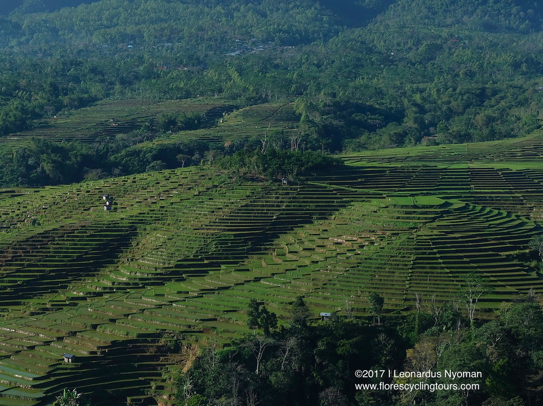 Flores Cycling Tours-Ruteng必去景点