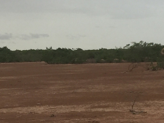 Koure Giraffe Reserve-Koure必去景点