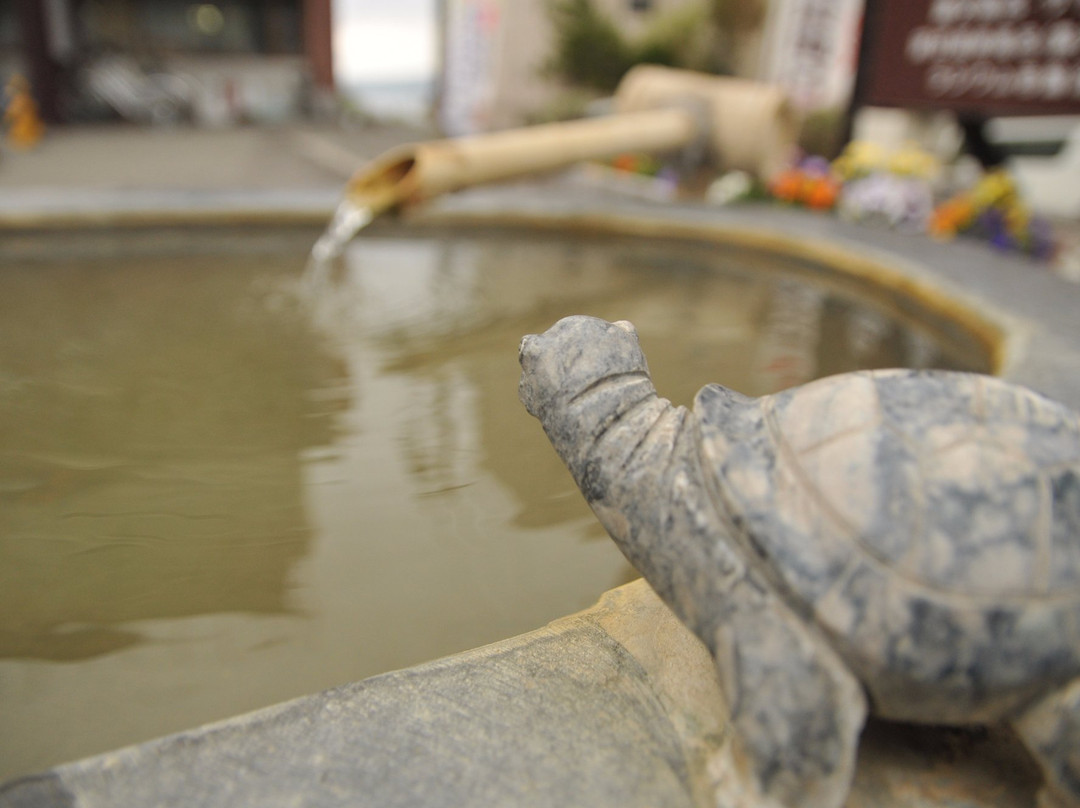 Longevity & Happiness Hand Bath-洞爷湖町必去景点