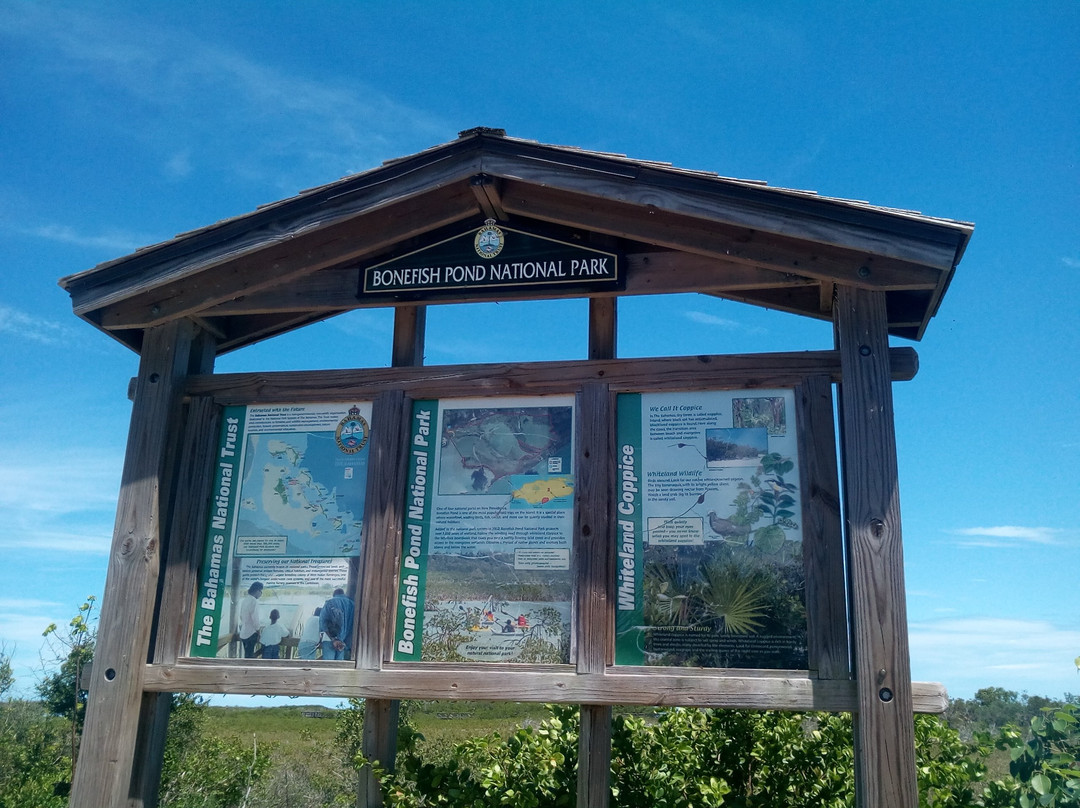 Bonefish Pond National Park-拿骚必去景点