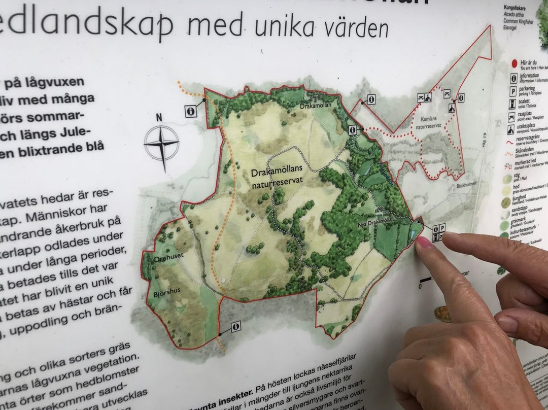 Drakamöllan Naturreservat景点图片