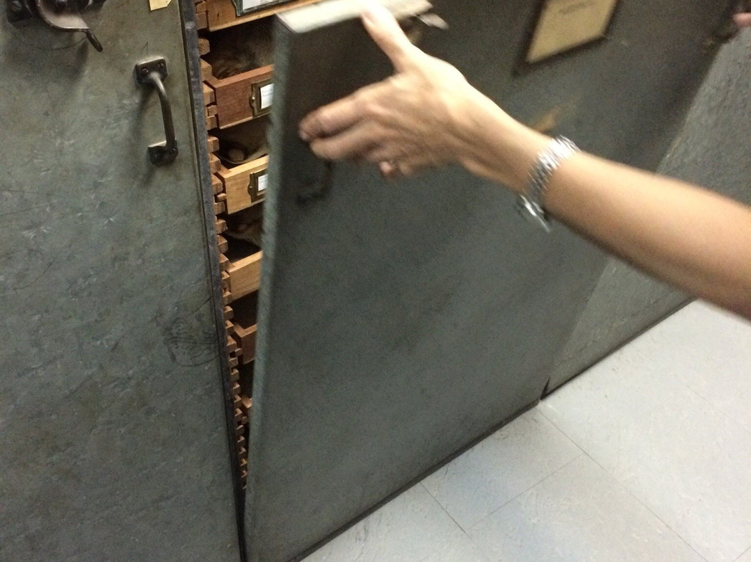 Coleccion Ornitologica William H. Phelps-加拉加斯必去景点