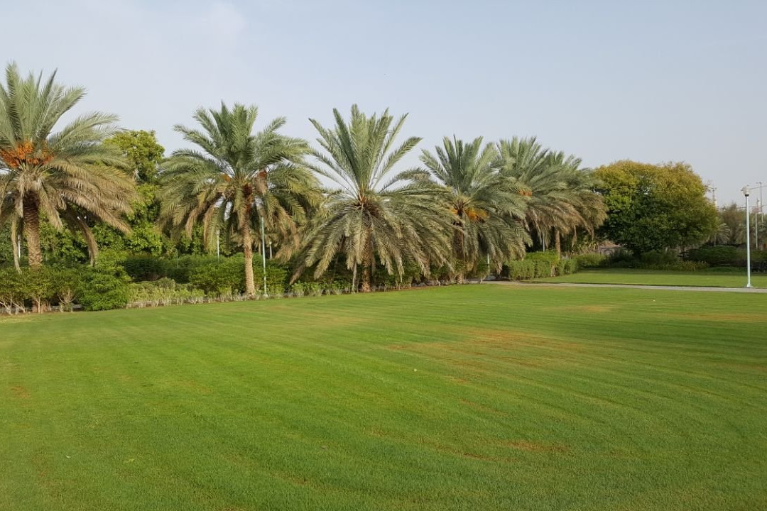Jahil Park-艾因市必去景点