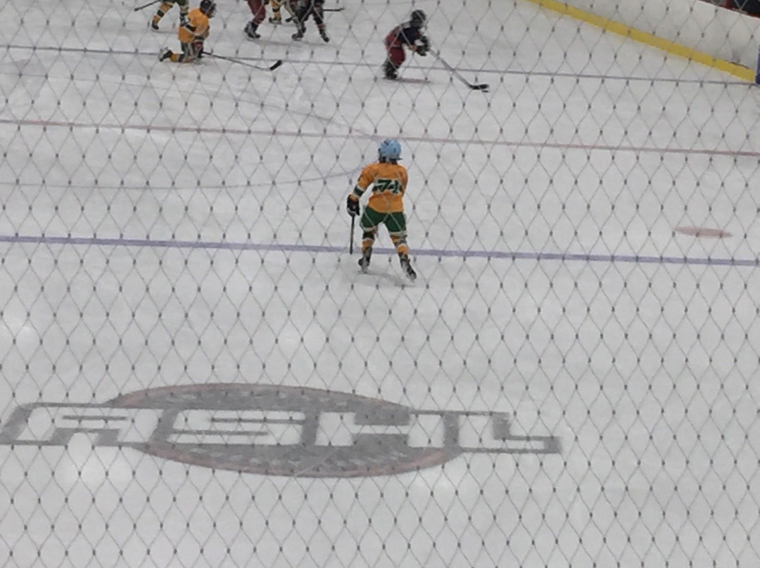 Canlan Ice Sports - Burnaby 8 Rinks-本那比必去景点