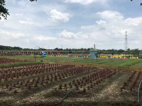 盈香生态园-佛山市必去景点