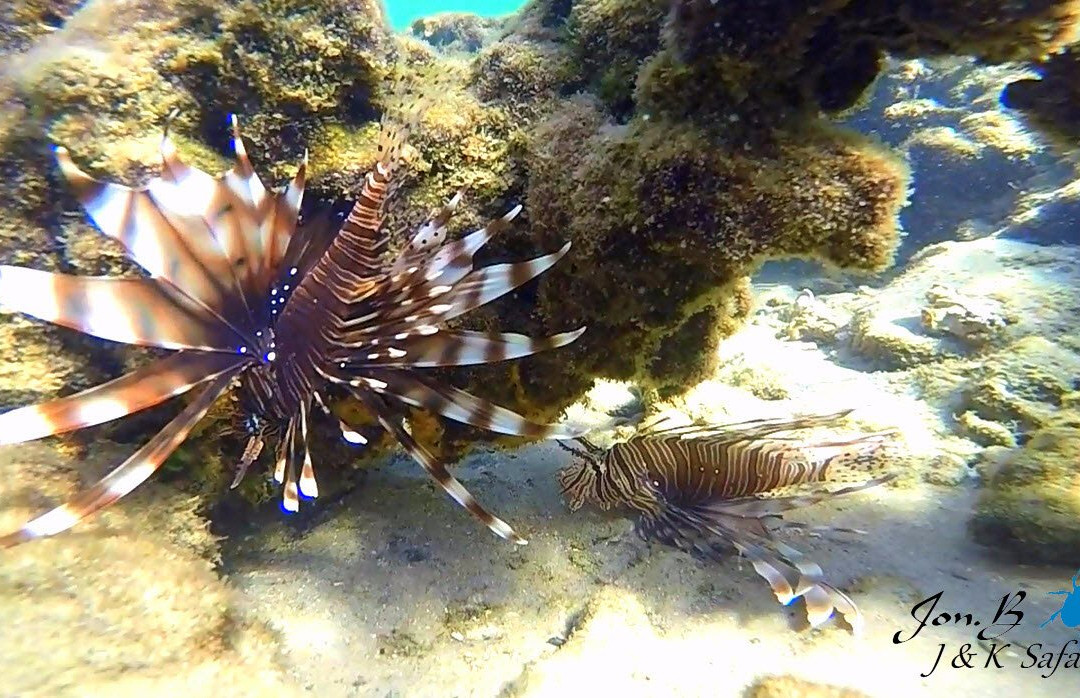 J and K Safaris-圣露西亚必去景点