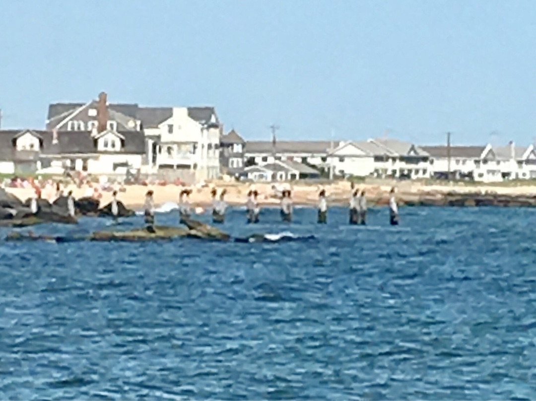Falmouth Heights Beach景点图片
