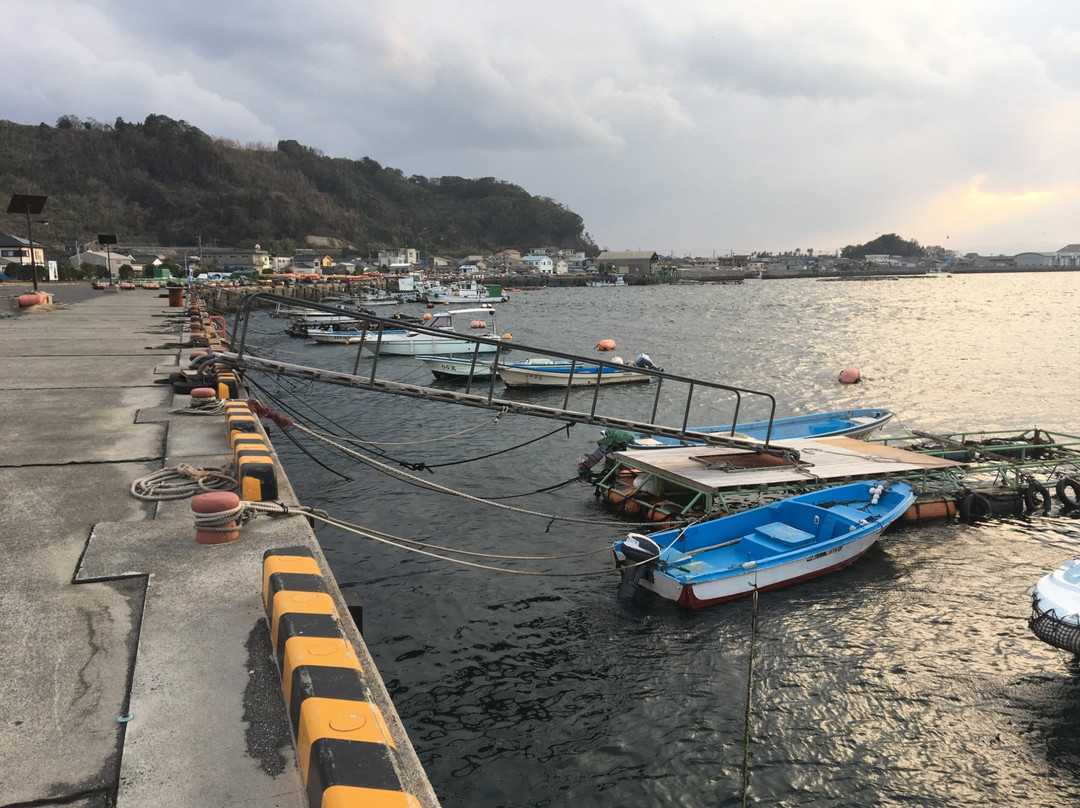 Kaigata Fishing Port-垂水市必去景点
