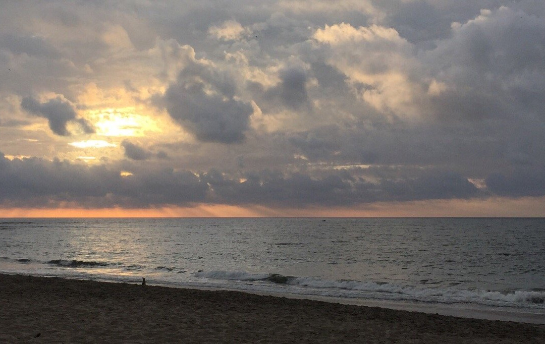 Playa Punta Centinela景点图片
