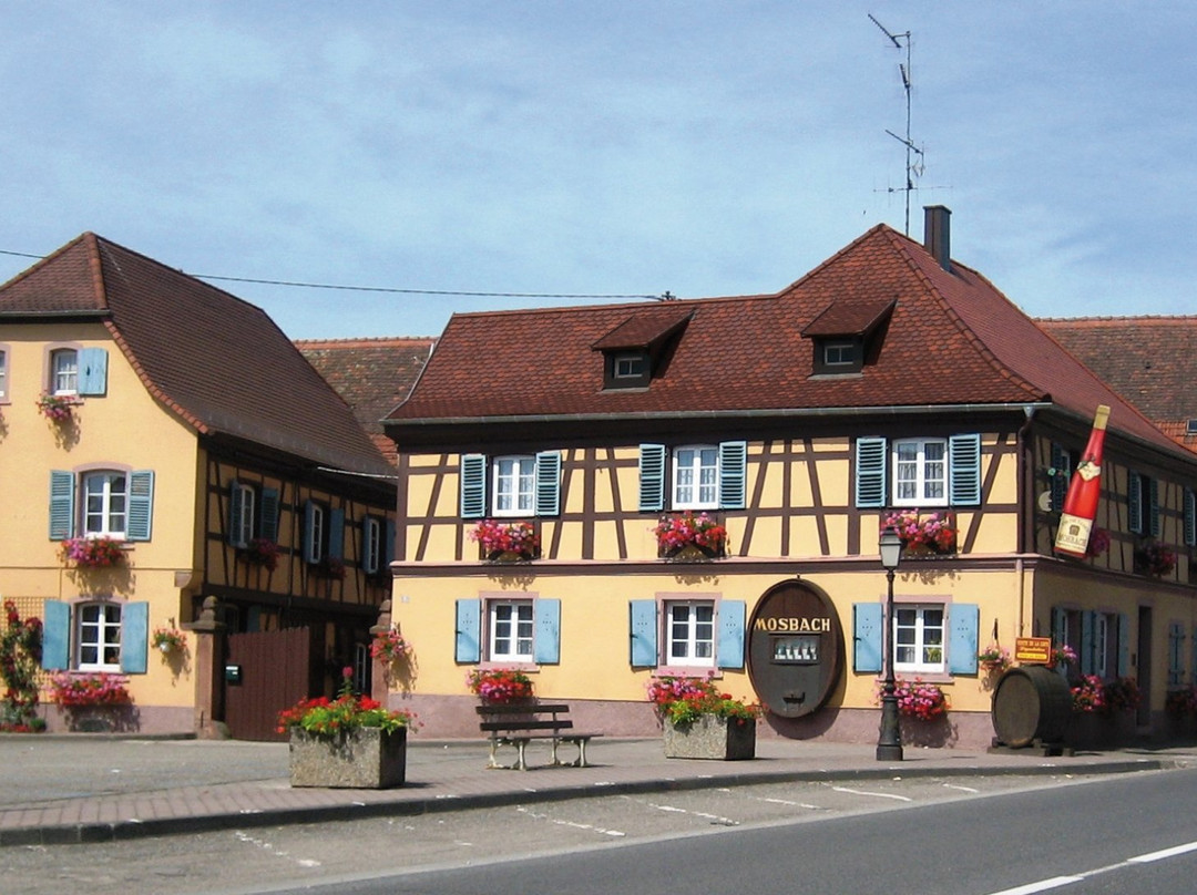 Vins d'Alsace Mosbach-马兰海姆必去景点