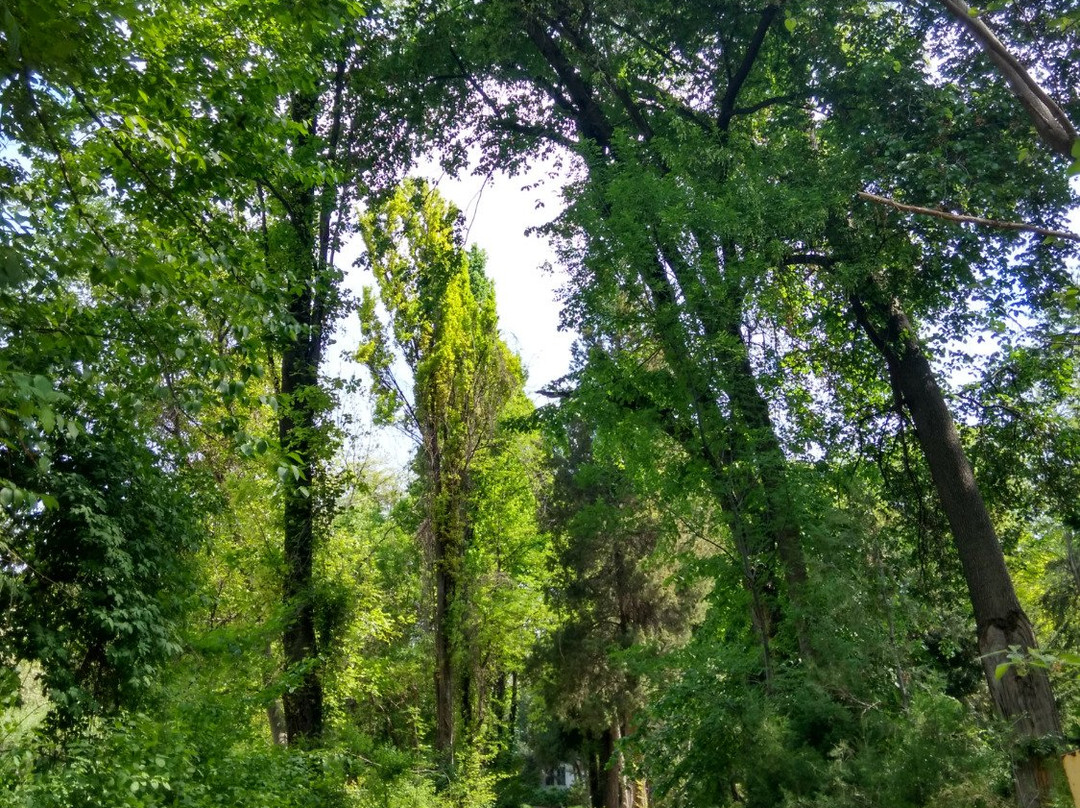 Botanical Gardens-塔什干必去景点